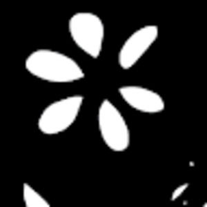 Meet your Posher, Liliana